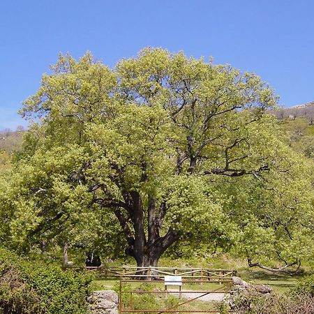 Casa Rural Romanejo Cabezabellosa ภายนอก รูปภาพ