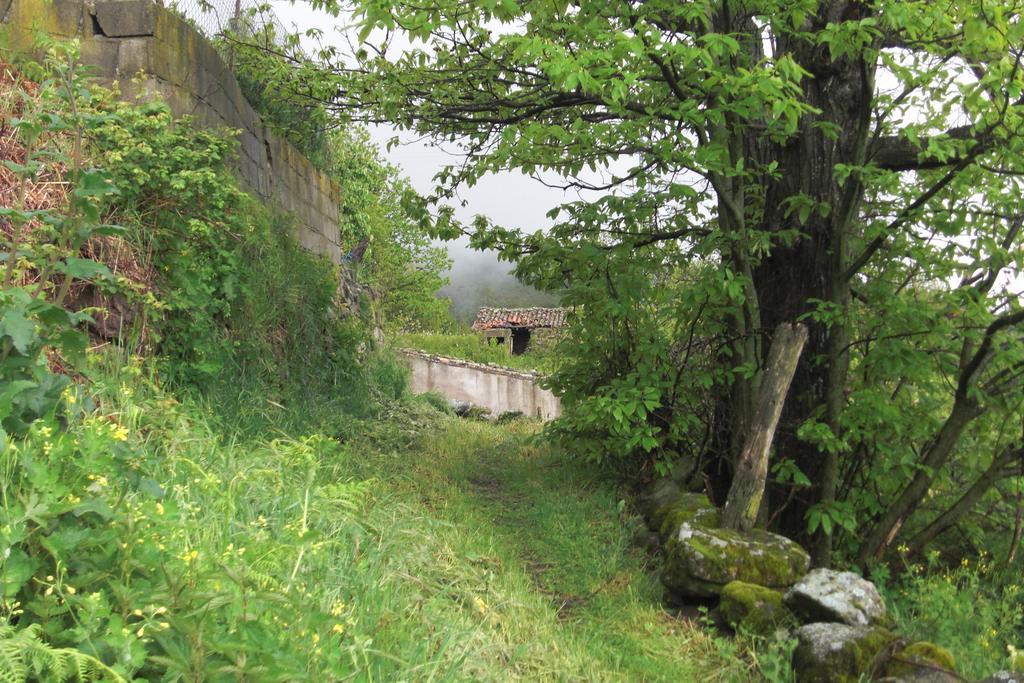 Casa Rural Romanejo Cabezabellosa ภายนอก รูปภาพ